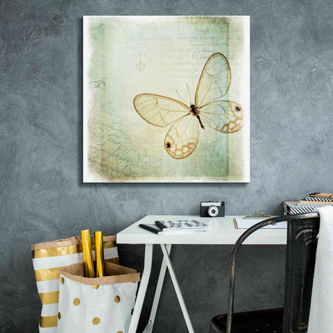 Image of 'Floating Butterfly I' by Debra Van Swearingen, Canvas Wall Art,26 x 26