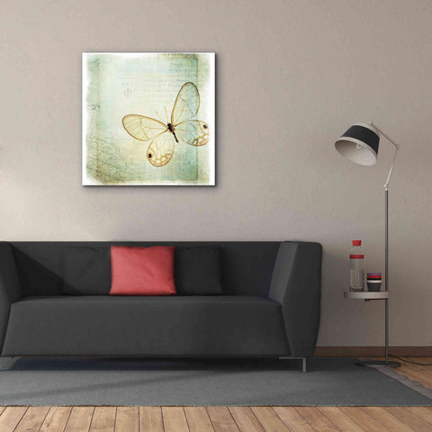 Image of 'Floating Butterfly I' by Debra Van Swearingen, Canvas Wall Art,37 x 37