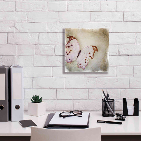 Image of 'Floating Butterfly II' by Debra Van Swearingen, Canvas Wall Art,12 x 12