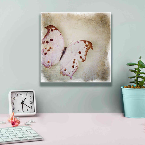 Image of 'Floating Butterfly II' by Debra Van Swearingen, Canvas Wall Art,12 x 12