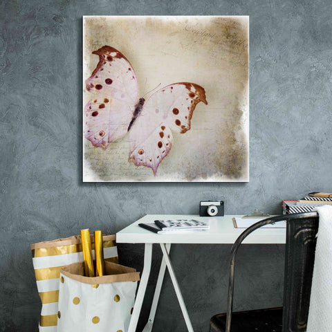 Image of 'Floating Butterfly II' by Debra Van Swearingen, Canvas Wall Art,26 x 26