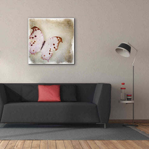 Image of 'Floating Butterfly II' by Debra Van Swearingen, Canvas Wall Art,37 x 37
