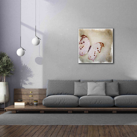 Image of 'Floating Butterfly II' by Debra Van Swearingen, Canvas Wall Art,37 x 37