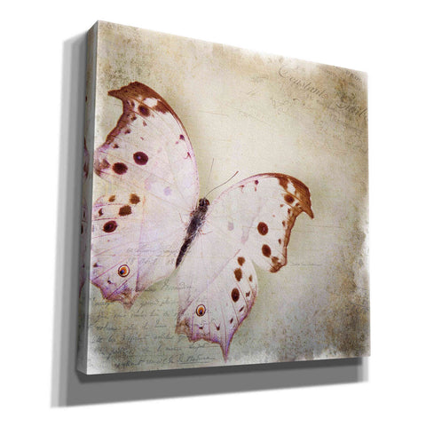 Image of 'Floating Butterfly II' by Debra Van Swearingen, Canvas Wall Art,12x12x1.1x0,18x18x1.1x0,26x26x1.74x0,37x37x1.74x0