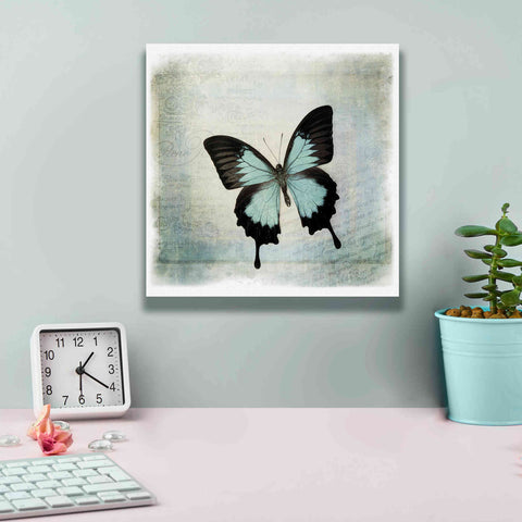 Image of 'Floating Butterfly III' by Debra Van Swearingen, Canvas Wall Art,12 x 12