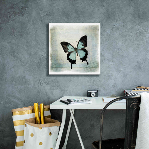 Image of 'Floating Butterfly III' by Debra Van Swearingen, Canvas Wall Art,18 x 18