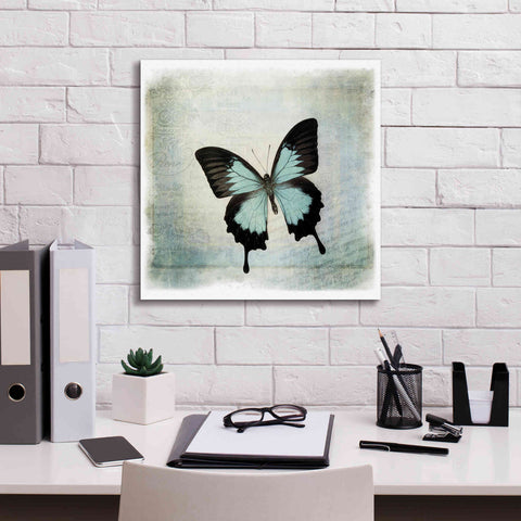 Image of 'Floating Butterfly III' by Debra Van Swearingen, Canvas Wall Art,18 x 18