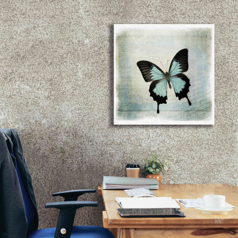 Image of 'Floating Butterfly III' by Debra Van Swearingen, Canvas Wall Art,26 x 26