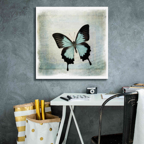 Image of 'Floating Butterfly III' by Debra Van Swearingen, Canvas Wall Art,26 x 26