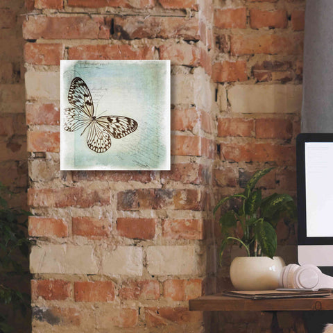 Image of 'Floating Butterfly IV' by Debra Van Swearingen, Canvas Wall Art,12 x 12