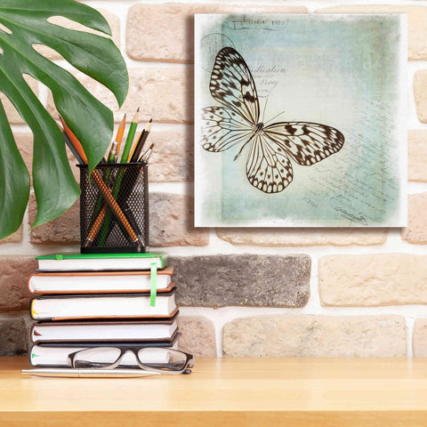 Image of 'Floating Butterfly IV' by Debra Van Swearingen, Canvas Wall Art,12 x 12