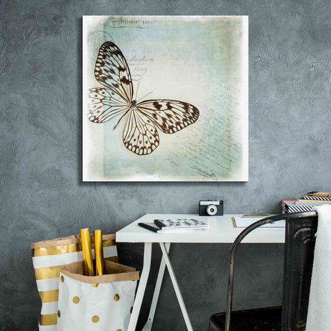 Image of 'Floating Butterfly IV' by Debra Van Swearingen, Canvas Wall Art,26 x 26
