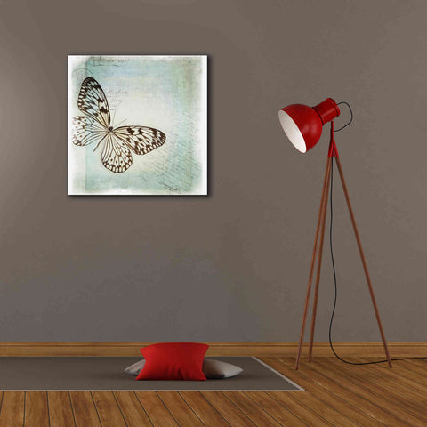 Image of 'Floating Butterfly IV' by Debra Van Swearingen, Canvas Wall Art,26 x 26
