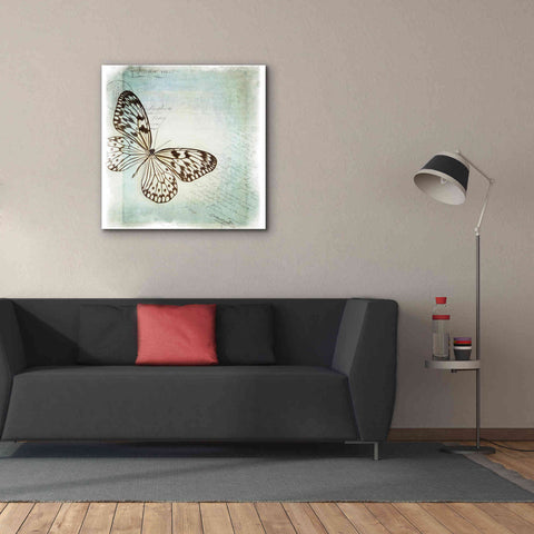 Image of 'Floating Butterfly IV' by Debra Van Swearingen, Canvas Wall Art,37 x 37