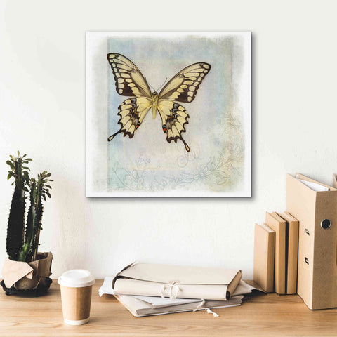 Image of 'Floating Butterfly V' by Debra Van Swearingen, Canvas Wall Art,18 x 18