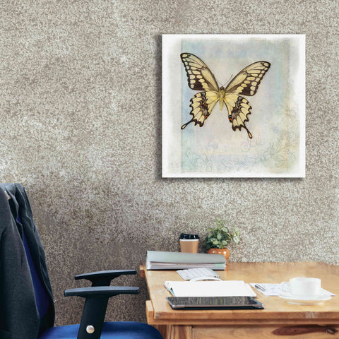 Image of 'Floating Butterfly V' by Debra Van Swearingen, Canvas Wall Art,26 x 26