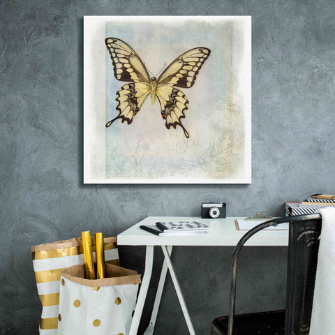 Image of 'Floating Butterfly V' by Debra Van Swearingen, Canvas Wall Art,26 x 26