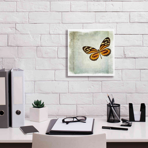 Image of 'Floating Butterfly VI' by Debra Van Swearingen, Canvas Wall Art,12 x 12