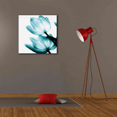 Image of 'Translucent Tulips II Teal' by Debra Van Swearingen, Canvas Wall Art,26 x 26