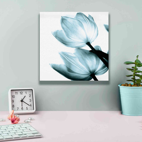 Image of 'Translucent Tulips II Aqua' by Debra Van Swearingen, Canvas Wall Art,12 x 12