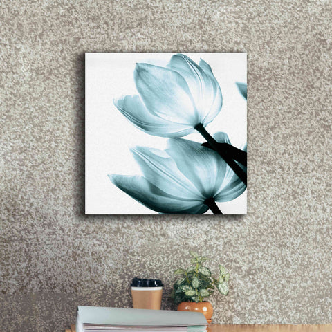 Image of 'Translucent Tulips II Aqua' by Debra Van Swearingen, Canvas Wall Art,18 x 18