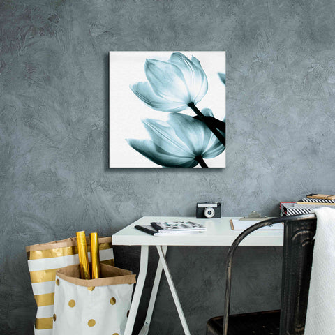 Image of 'Translucent Tulips II Aqua' by Debra Van Swearingen, Canvas Wall Art,18 x 18