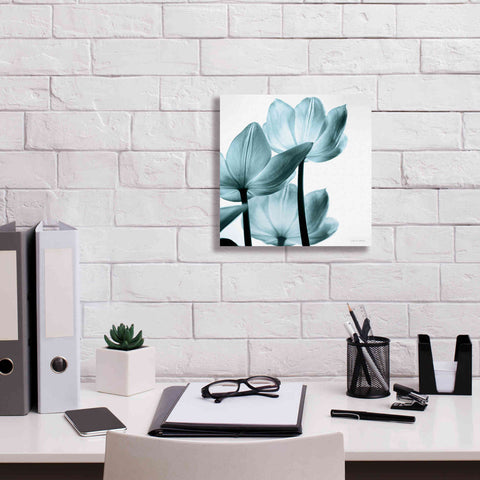 Image of 'Translucent Tulips III Aqua' by Debra Van Swearingen, Canvas Wall Art,12 x 12