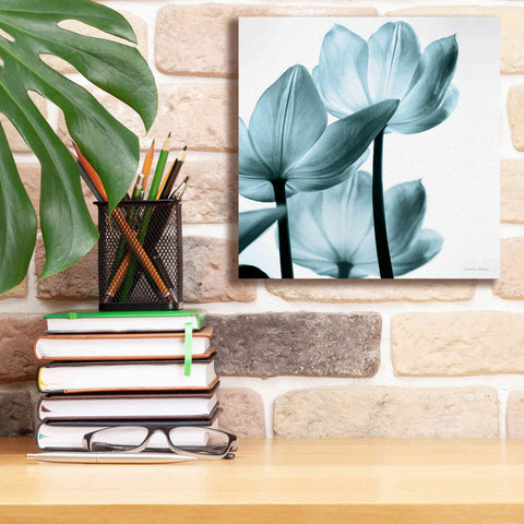 Image of 'Translucent Tulips III Aqua' by Debra Van Swearingen, Canvas Wall Art,12 x 12