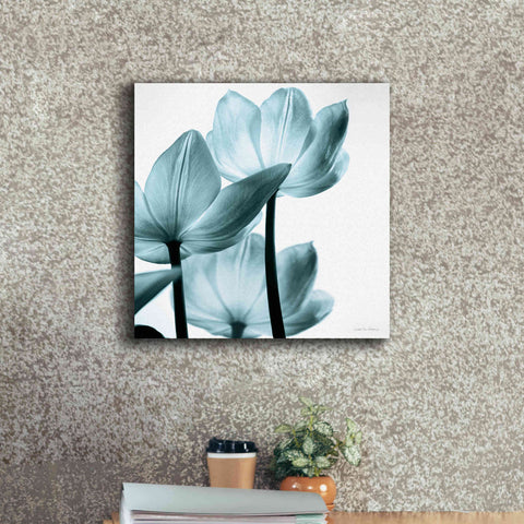 Image of 'Translucent Tulips III Aqua' by Debra Van Swearingen, Canvas Wall Art,18 x 18