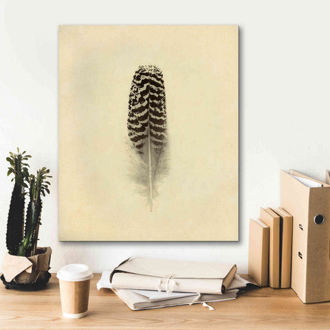 Image of 'Feather I Vintage' by Debra Van Swearingen, Canvas Wall Art,20 x 24