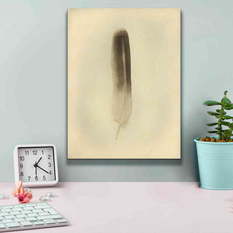 Image of 'Feather II Vintage' by Debra Van Swearingen, Canvas Wall Art,12 x 16