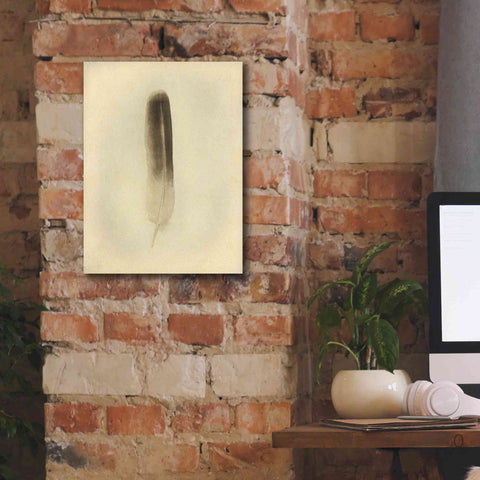 Image of 'Feather II Vintage' by Debra Van Swearingen, Canvas Wall Art,12 x 16