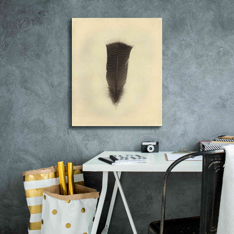 Image of 'Feather III Vintage' by Debra Van Swearingen, Canvas Wall Art,20 x 24