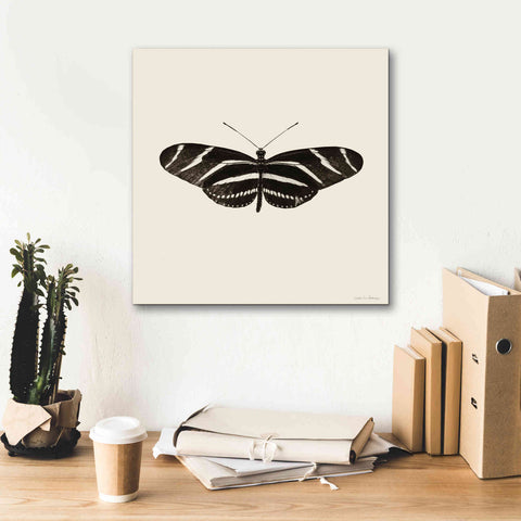 Image of 'Butterfly IX B&W' by Debra Van Swearingen, Canvas Wall Art,18 x 18