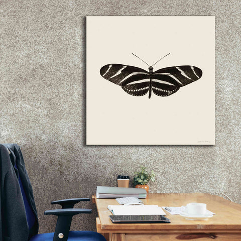 Image of 'Butterfly IX B&W' by Debra Van Swearingen, Canvas Wall Art,37 x 37