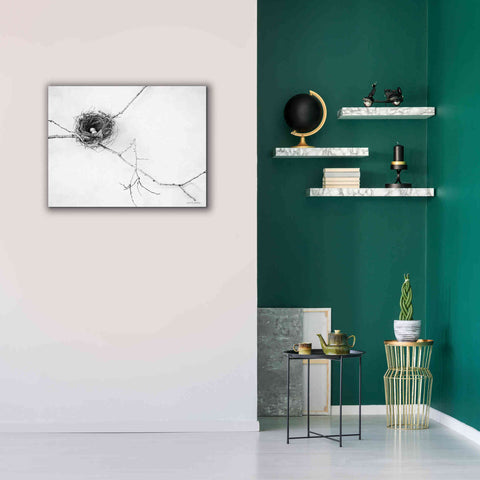 Image of 'Nest and Branch I' by Debra Van Swearingen, Canvas Wall Art,34 x 26