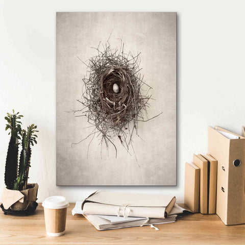 Image of 'Poised' by Debra Van Swearingen, Canvas Wall Art,18 x 26