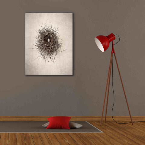 Image of 'Poised' by Debra Van Swearingen, Canvas Wall Art,26 x 34