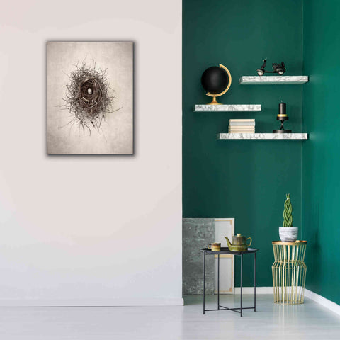 Image of 'Poised' by Debra Van Swearingen, Canvas Wall Art,26 x 34
