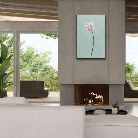 Image of 'Light Tulips I Harbor Gray' by Debra Van Swearingen, Canvas Wall Art,26 x 40