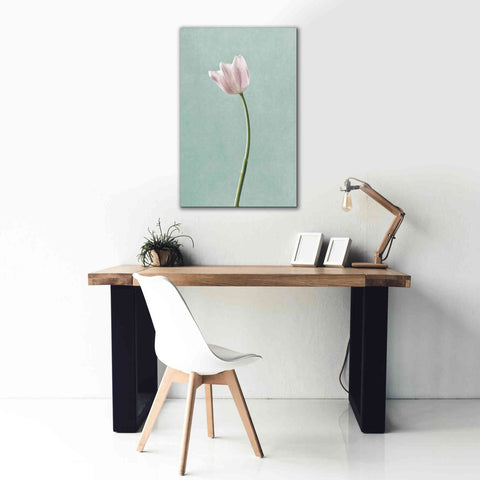 Image of 'Light Tulips I Harbor Gray' by Debra Van Swearingen, Canvas Wall Art,26 x 40