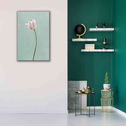 Image of 'Light Tulips I Harbor Gray' by Debra Van Swearingen, Canvas Wall Art,26 x 40