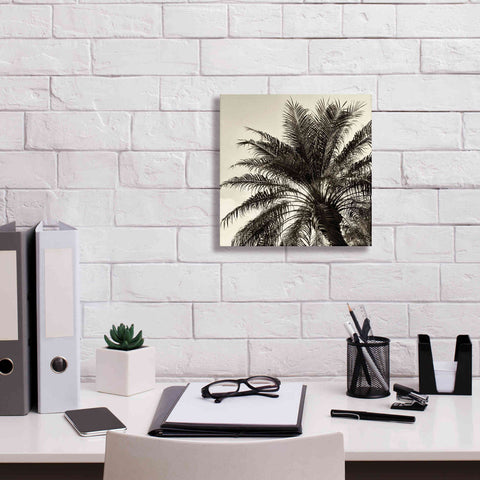Image of 'Palm Tree Sepia I' by Debra Van Swearingen, Canvas Wall Art,12 x 12