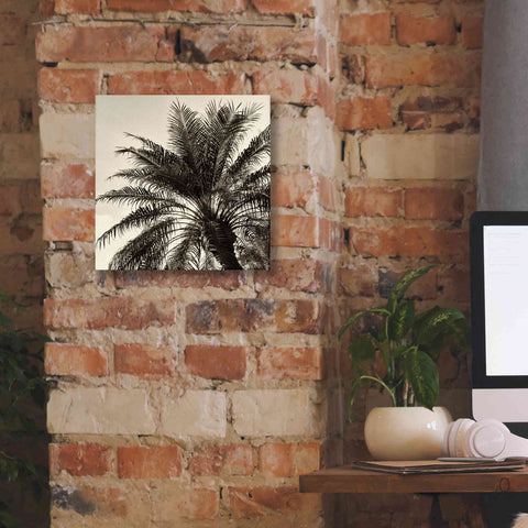 Image of 'Palm Tree Sepia I' by Debra Van Swearingen, Canvas Wall Art,12 x 12