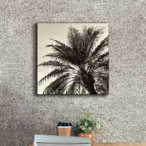 Image of 'Palm Tree Sepia I' by Debra Van Swearingen, Canvas Wall Art,18 x 18