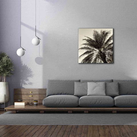 Image of 'Palm Tree Sepia I' by Debra Van Swearingen, Canvas Wall Art,37 x 37