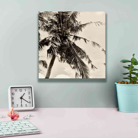 Image of 'Palm Tree Sepia II' by Debra Van Swearingen, Canvas Wall Art,12 x 12