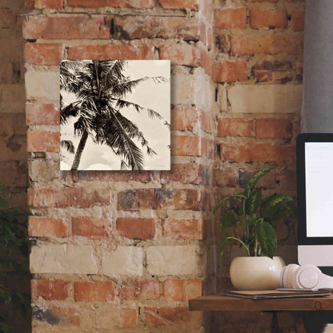 Image of 'Palm Tree Sepia II' by Debra Van Swearingen, Canvas Wall Art,12 x 12