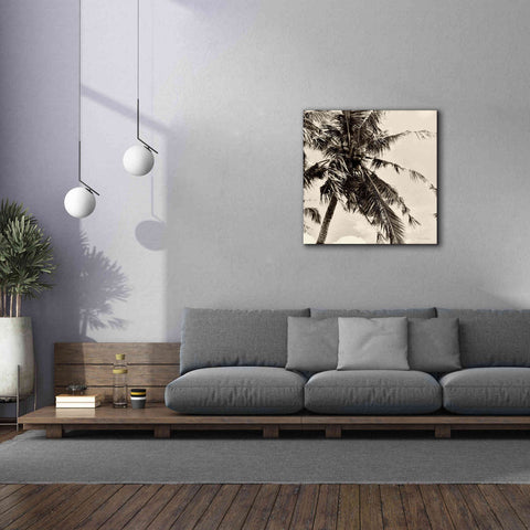 Image of 'Palm Tree Sepia II' by Debra Van Swearingen, Canvas Wall Art,37 x 37