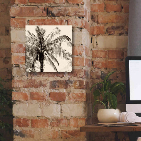 Image of 'Palm Tree Sepia III' by Debra Van Swearingen, Canvas Wall Art,12 x 12